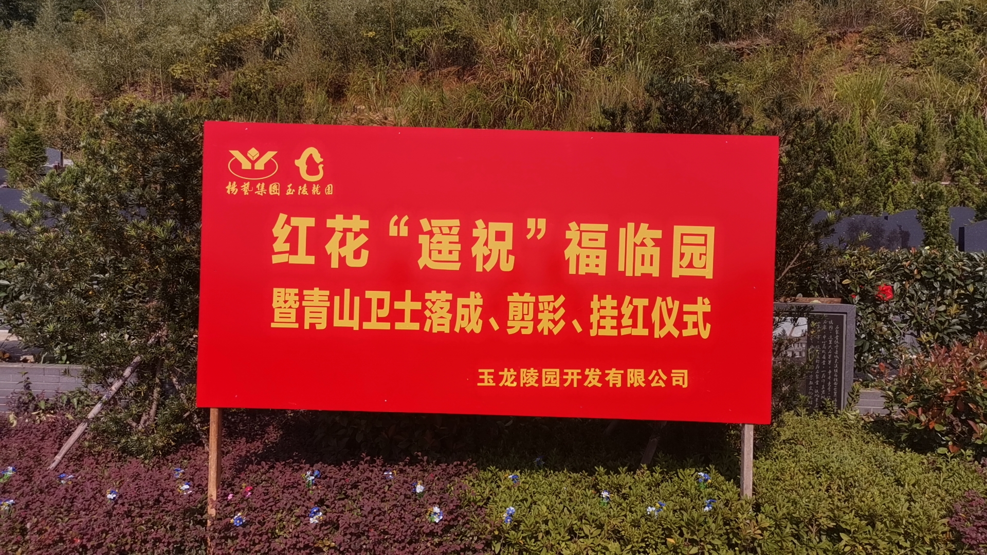 红花传爱意，情满玉龙园！