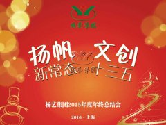 年终会：记2015年终总结大会暨2016年计划会议