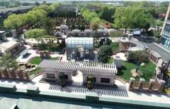 方寸之间，艺术与自然共舞